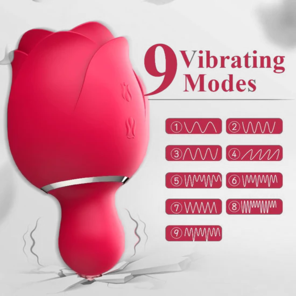 Sucking Vibrating Rose Toy for Women with 9 Intense Vibration, 2 in 1 Adult Rose Sex Toy