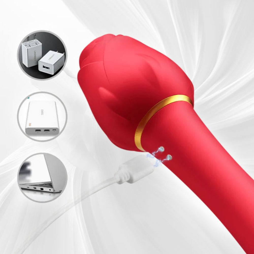 2-in-1 Rose Vibrator, Oral Sex Sucking Rose with G-Spot Dildo Vibrating  Wand with 5 Sucking Patterns & 10 Strong Vibration