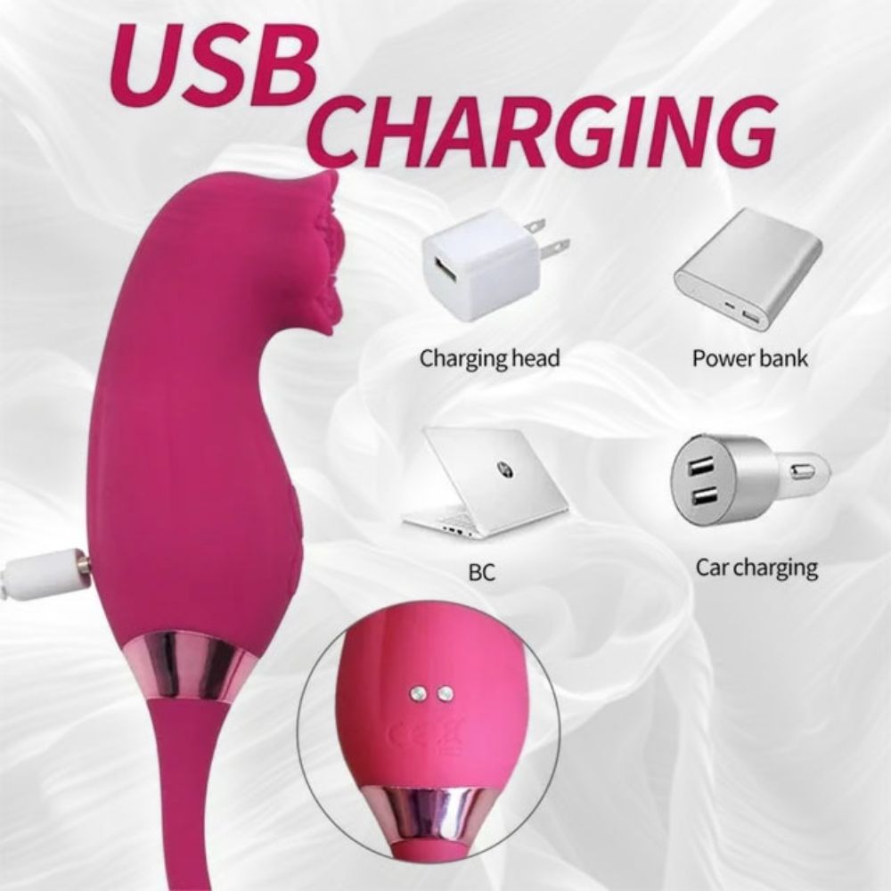 Rose Sex Stimulator for Women with 10 Suction & Vibration, Women Adult Sex Toys G Spot Vibrator